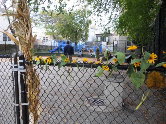 SnowberryHarvest_014